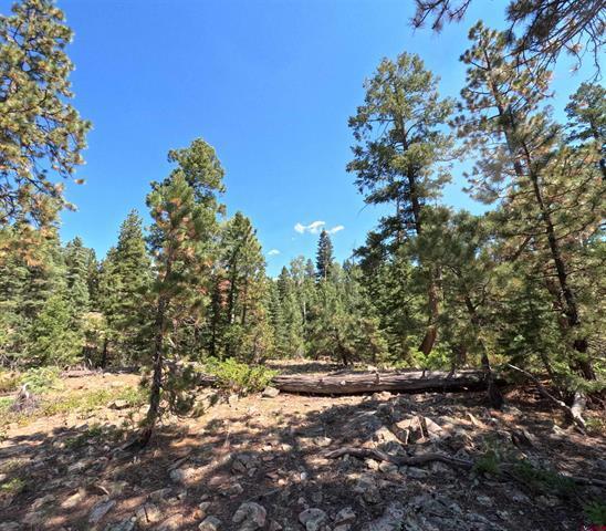 48 Ponderosa Trl, Durango, CO à vendre - Photo du bâtiment - Image 3 de 10
