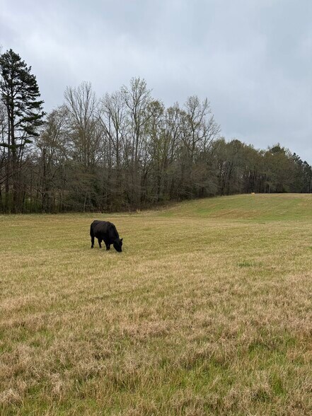 1681 Sibley School rd, Greensboro, GA à vendre - Photo principale - Image 2 de 7