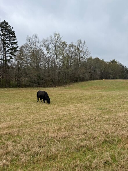 1681 Sibley School rd, Greensboro, GA for sale - Primary Photo - Image 2 of 7