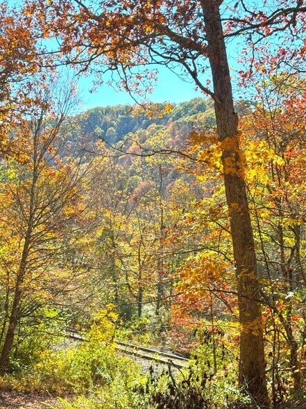 0 Sewell Creek Rd, Meadow Bridge, WV à vendre - Photo du bâtiment - Image 3 de 34