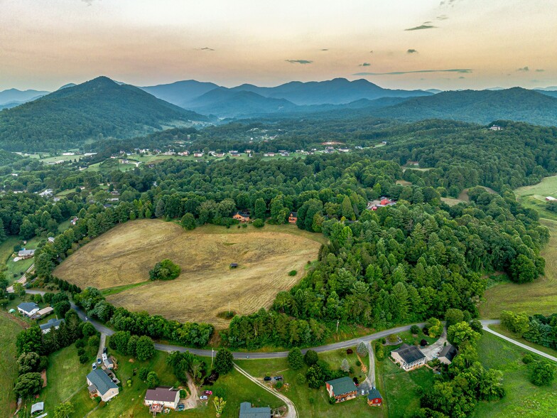 703 Crestview Dr, Leicester, NC for sale - Aerial - Image 3 of 59