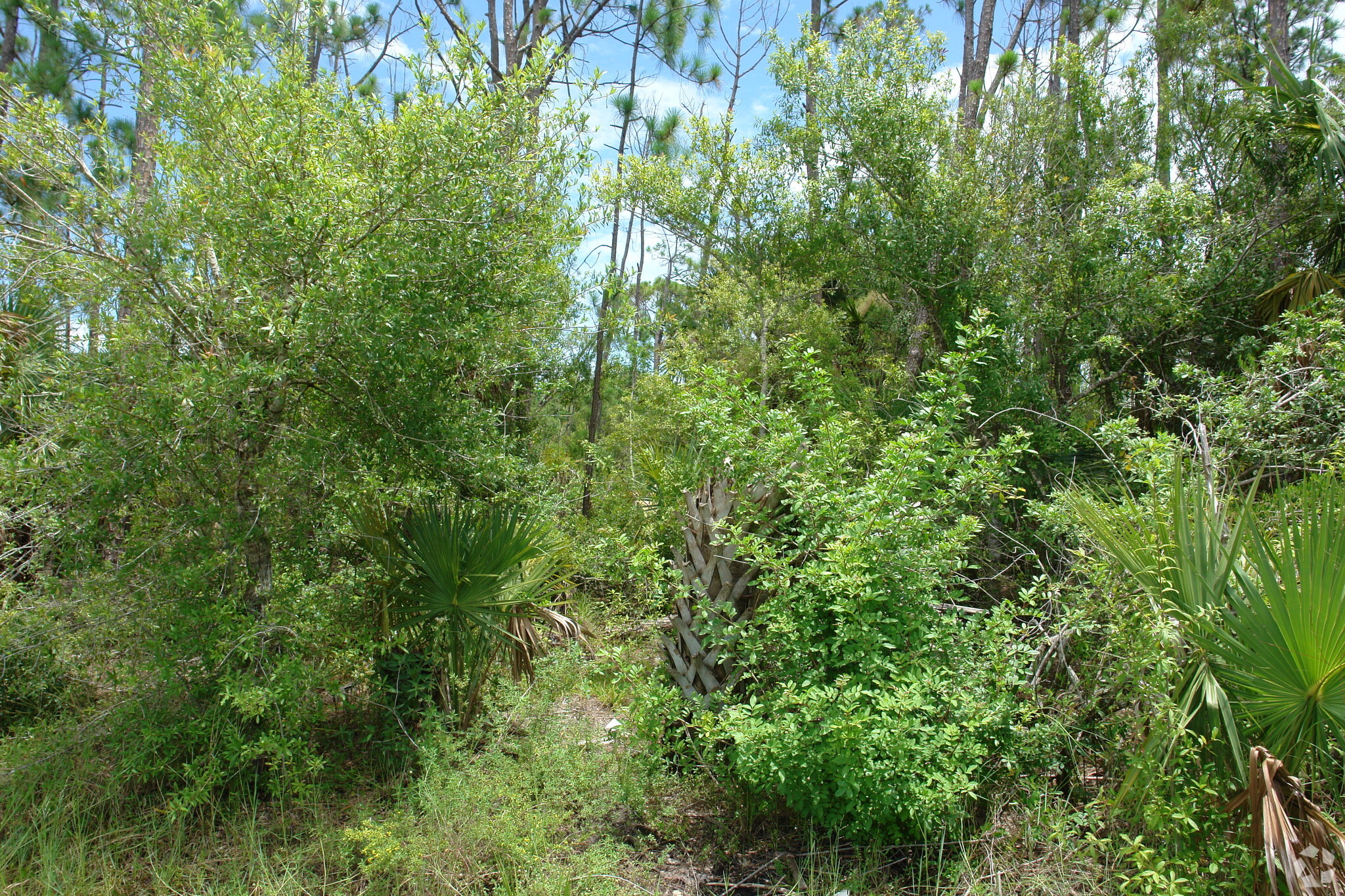 Turnpike Feeder Rd, Fort Pierce, FL à vendre Photo principale- Image 1 de 1