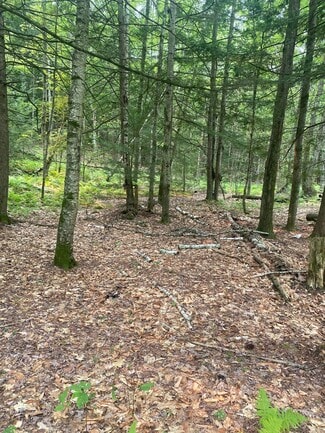 More details for Daggett Hill (TM R16-3) Rd, Westmoreland, NH - Land for Sale