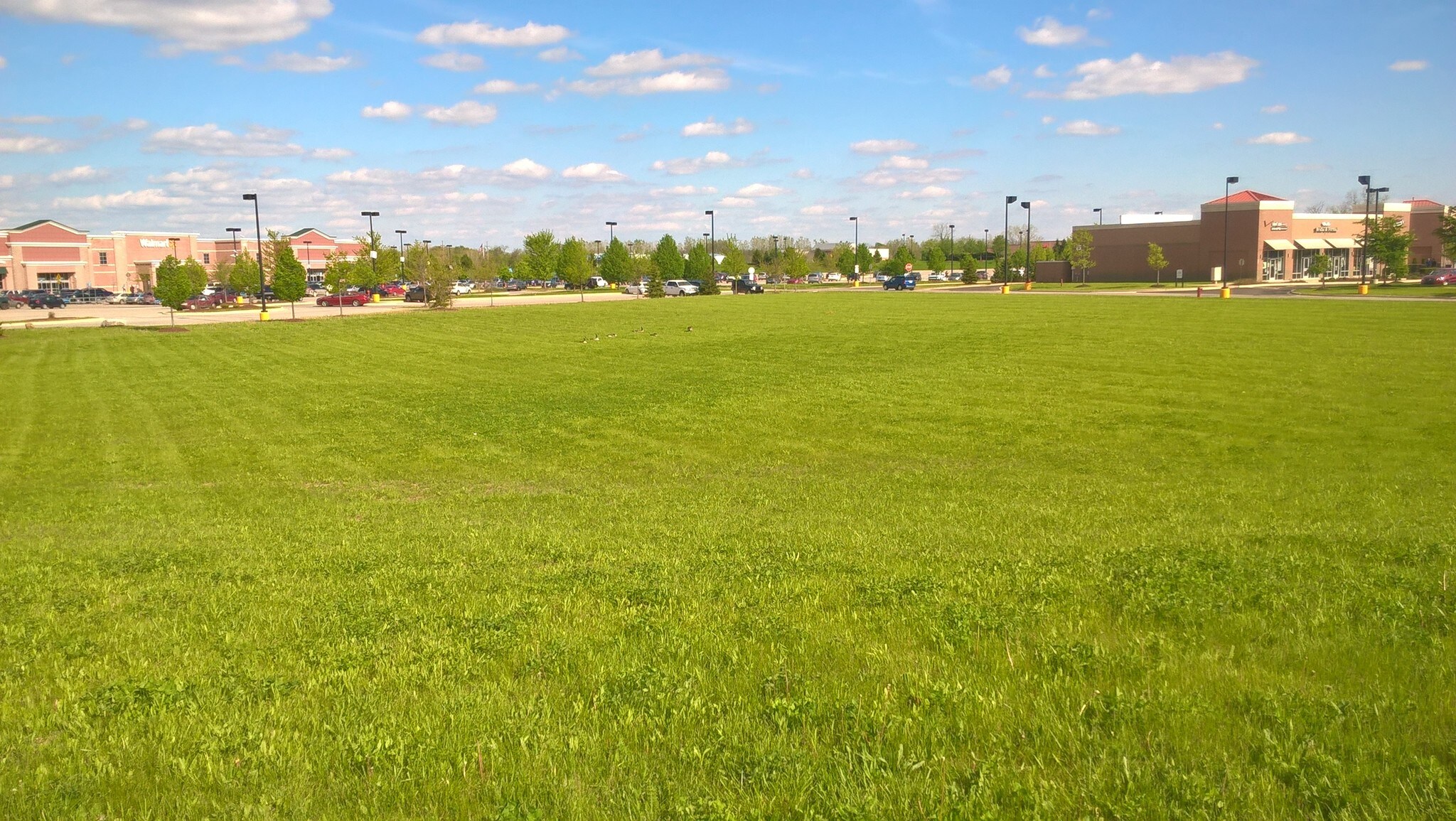 6869 S State Rd, Saline, MI à louer Photo du bâtiment- Image 1 de 4