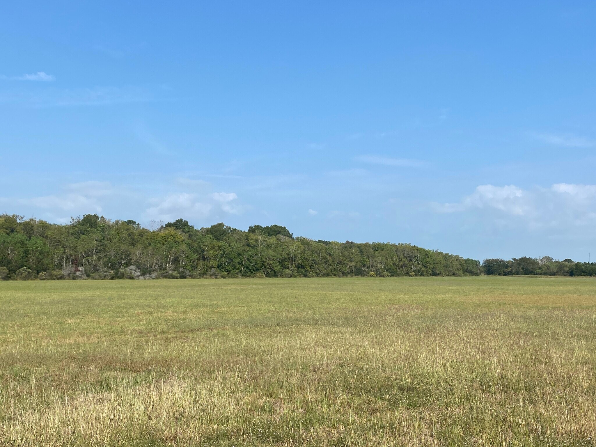 19.376 Acres off Walden @ IH 10, Beaumont, TX for sale Primary Photo- Image 1 of 9