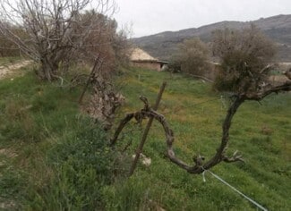 More details for Land for Sale