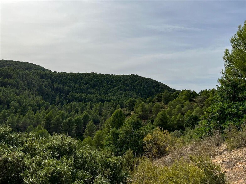 Port, Buñol, Valencia for sale - Primary Photo - Image 3 of 12