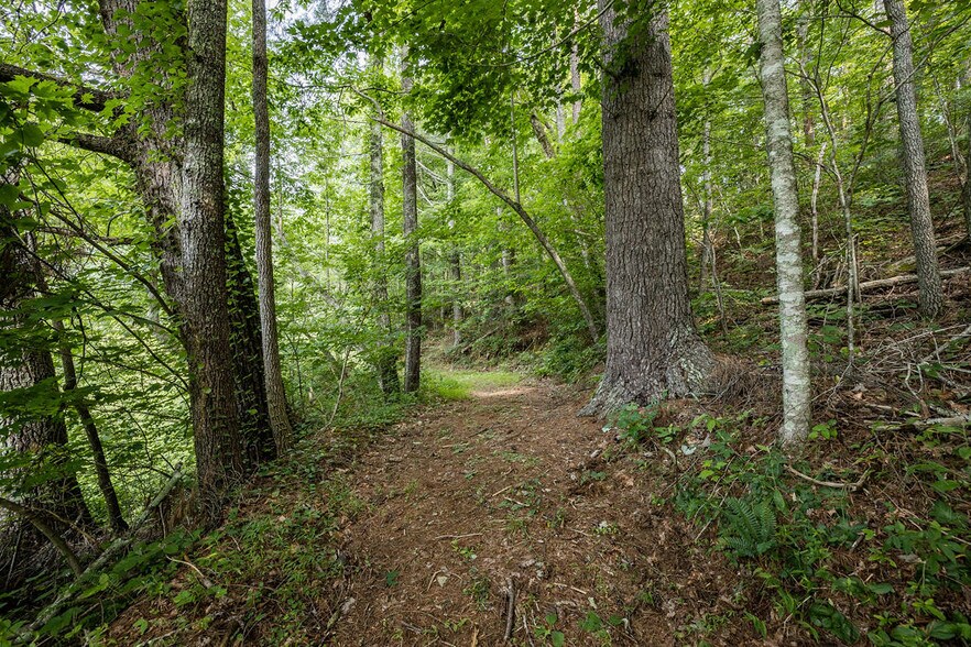 0 Oak Forest Drive, Clarkesville, GA for sale - Building Photo - Image 2 of 13