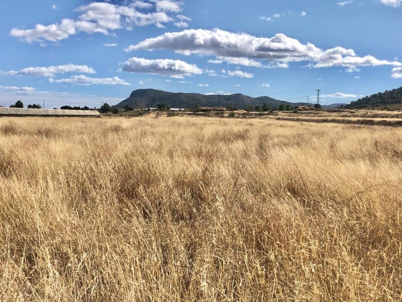 Land in La Romana, Alicante for sale Aerial- Image 1 of 6