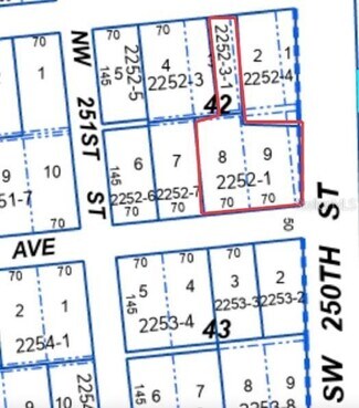 Plus de détails pour 25017 SW 1st Ave, Newberry, FL - Terrain à vendre