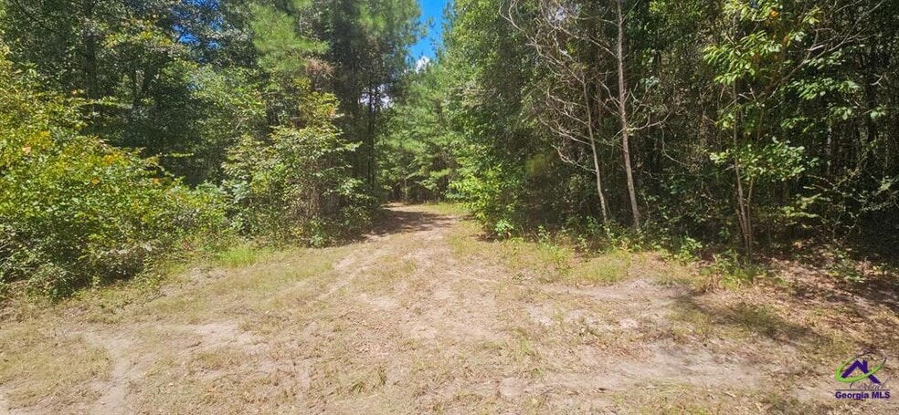 21.20 Acres Priest Road, Vienna, GA for sale - Other - Image 2 of 20