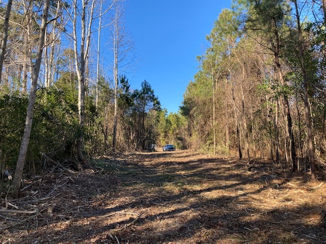 Fisher Landing Rd, Jarvisburg, NC à vendre - Photo du b timent - Image 3 de 18