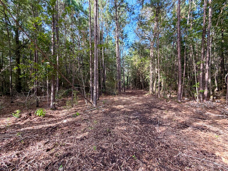 3.39 Acres, FM 787, Saratoga, TX à vendre - Photo du bâtiment - Image 2 de 23