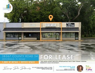 Plus de détails pour 38363 County Road 54 Rd, Zephyrhills, FL - Commerce de détail à louer