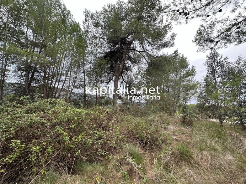 Land in Alfafara, Alicante for sale - Primary Photo - Image 3 of 5