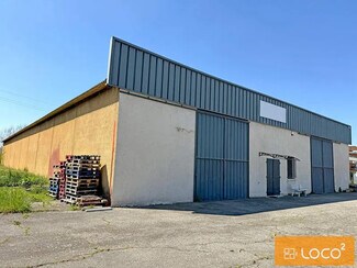 Plus de détails pour 7 Avenue Léon Jouhaux, Saint-Alban - Industriel à louer