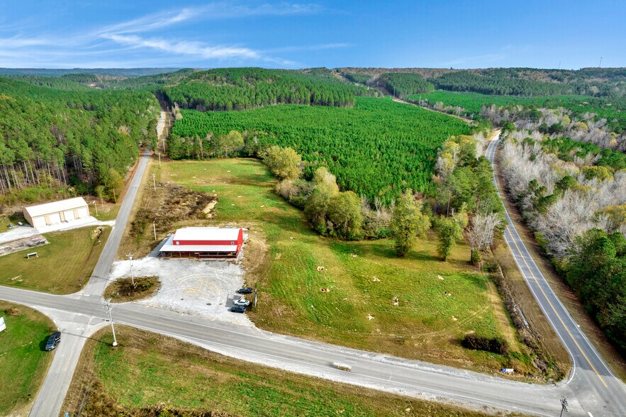 0 County Road 222, Cullman, AL for sale - Building Photo - Image 3 of 9