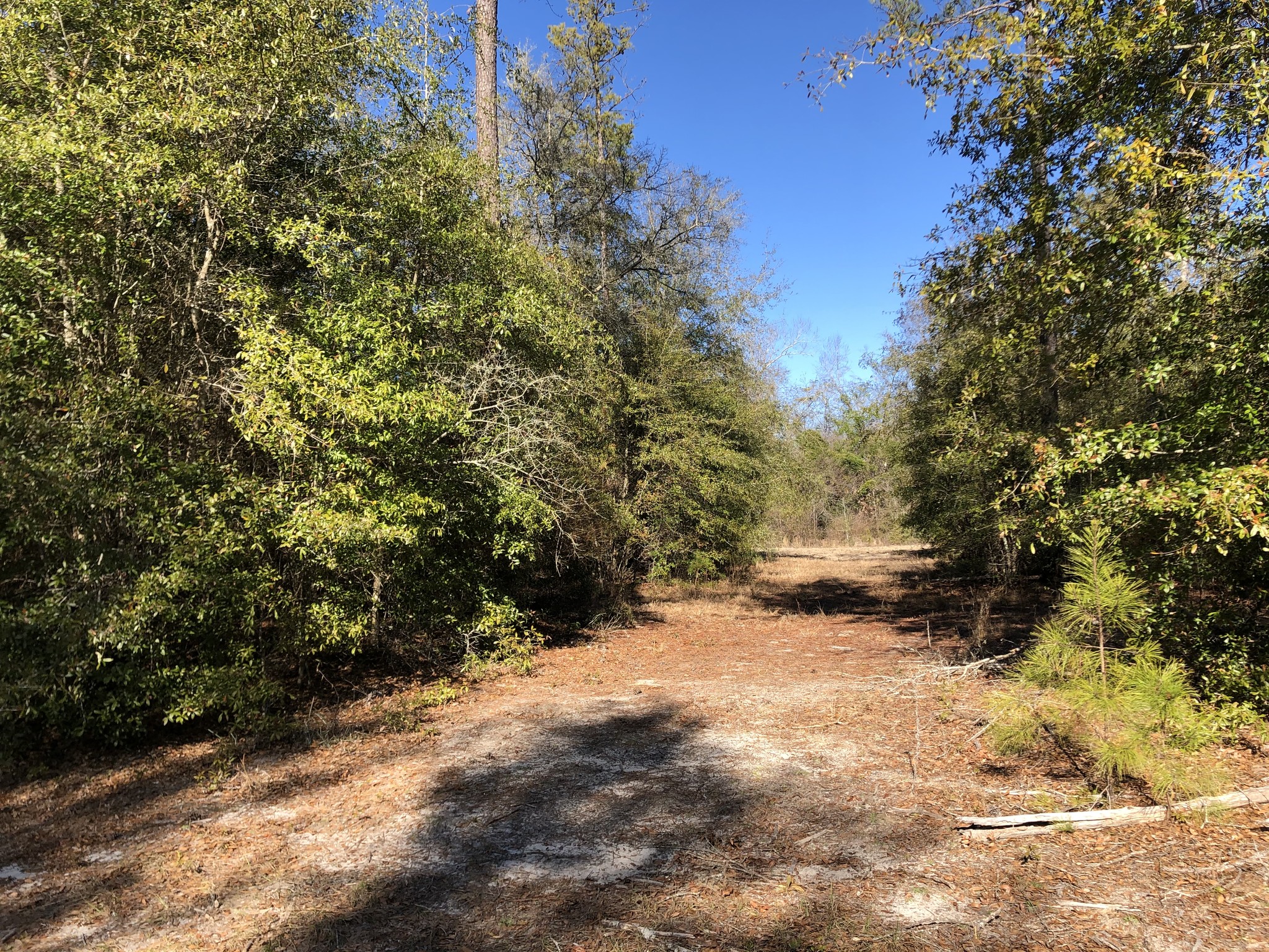 Asbury Church Rd, Gordon, GA for sale Primary Photo- Image 1 of 1