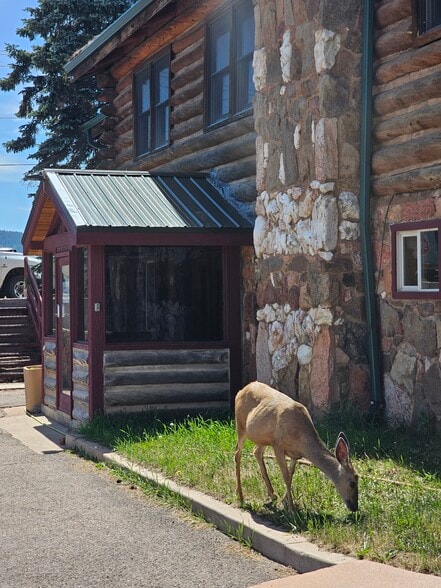 720 W US Highway 24, Woodland Park, CO à louer - Photo du bâtiment - Image 3 de 16