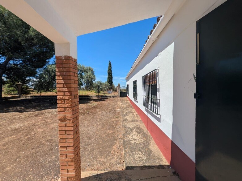 Land in Solana de los Barros, Badajoz for sale - Primary Photo - Image 3 of 49