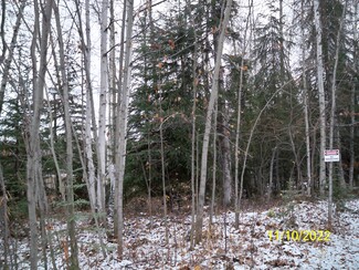 More details for Chief William Drive, Fairbanks, AK - Land for Sale