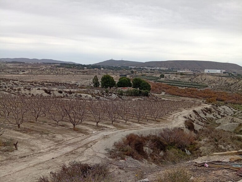 Land in Cieza, Murcia for sale - Building Photo - Image 2 of 7