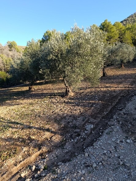 Land in Bullas for sale - Building Photo - Image 3 of 8