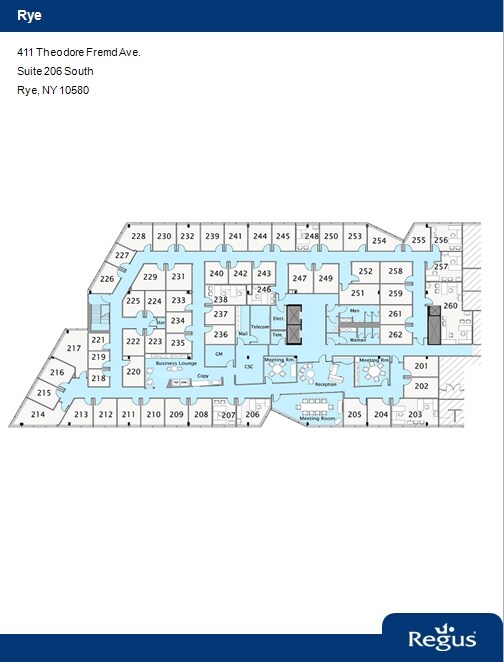 411 Theodore Fremd Ave, Rye, NY for lease Floor Plan- Image 1 of 1