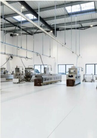 Plus de détails pour Flex à vendre