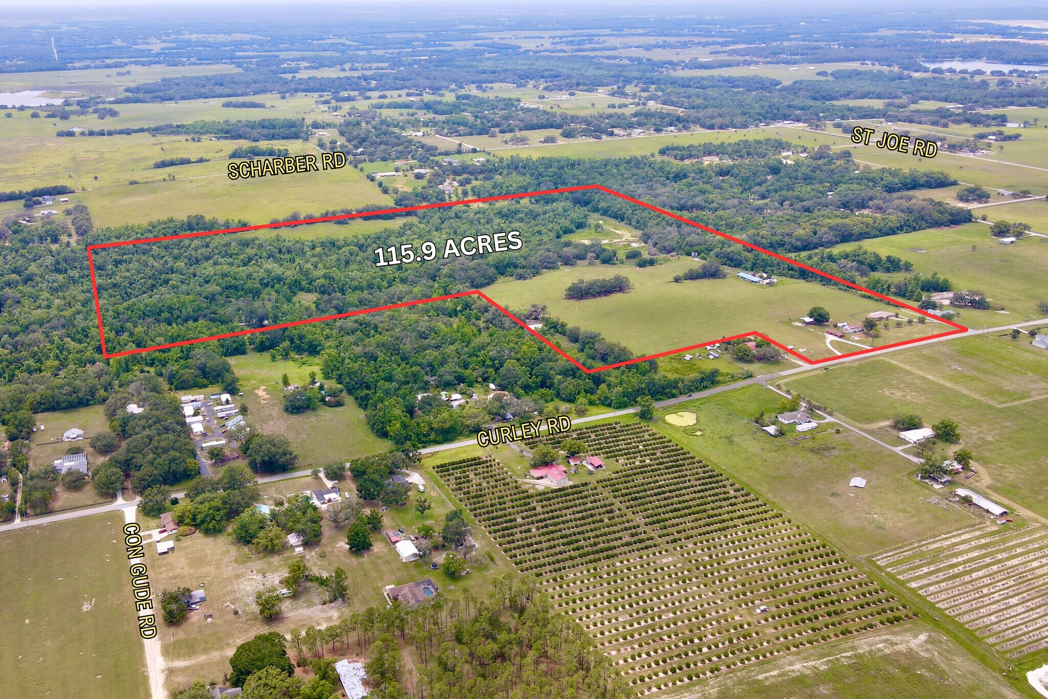 14409 Curley Rd, Dade City, FL à vendre Aérien- Image 1 de 53