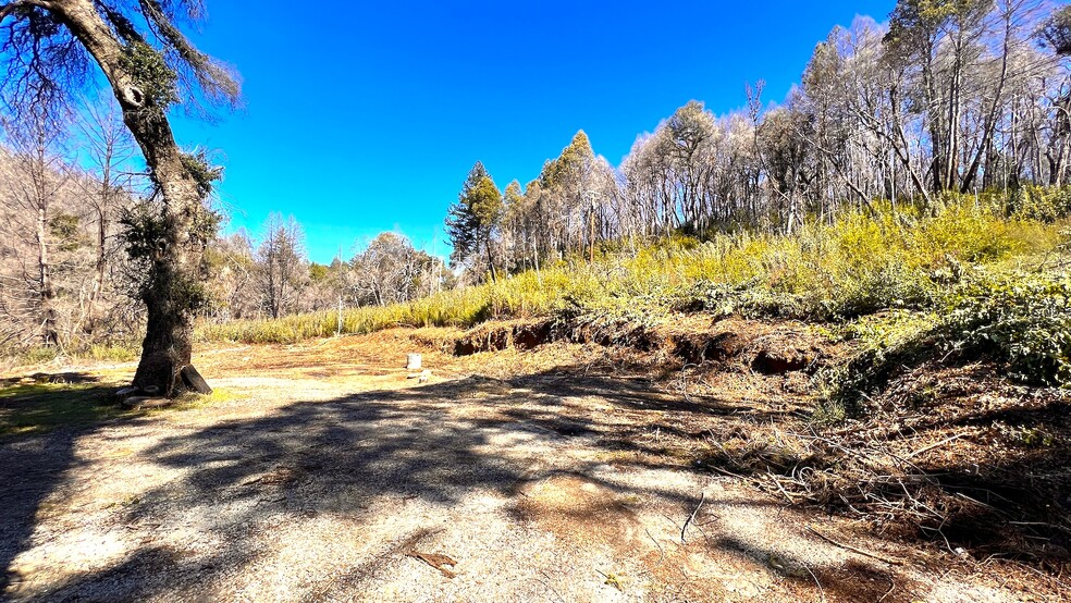 11035 Empire Grade, Bonny Doon, CA for sale - Primary Photo - Image 1 of 1