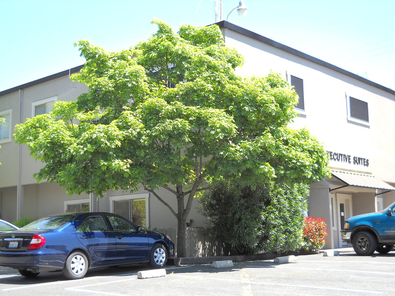 1230 High St, Auburn, CA à louer - Photo du bâtiment - Image 3 de 9