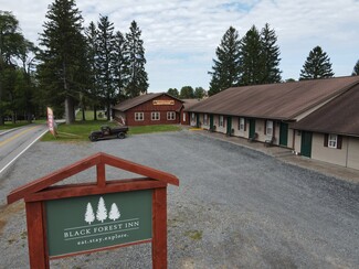 Plus de détails pour 32600 N State Route 44, Lock Haven, PA - Vente au détail à vendre