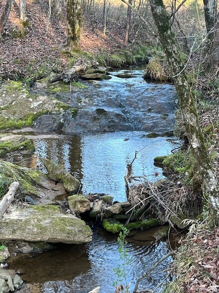 0 Murphy Trl, Ball Ground, GA à vendre - Photo intérieure - Image 2 de 6