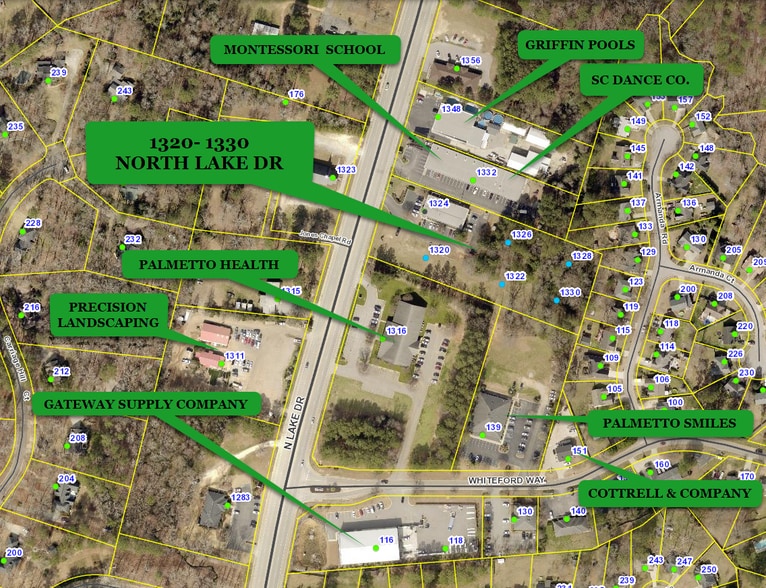 1324 N Lake Dr, Lexington, SC à louer - Aérien - Image 1 de 1