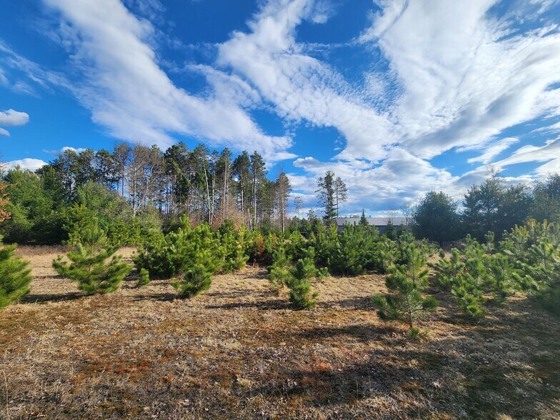 Lot 6 - 7 Plaza Drive, Minocqua, WI à vendre - Autre - Image 3 de 3