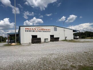 Plus de détails pour 33600 AL Highway 22, Verbena, AL - Flex à vendre