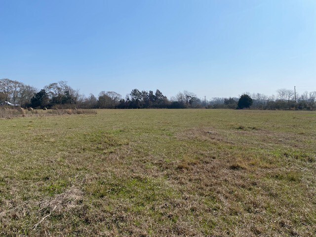 Hwy 103, Washington, LA for sale - Other - Image 3 of 7