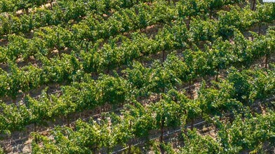 NKA Goose Ridge Estates, Richland, WA - AÉRIEN  Vue de la carte - Image1