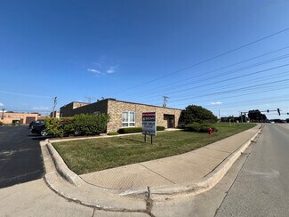 Plus de détails pour 221 Lively Blvd, Elk Grove Village, IL - Industriel à vendre