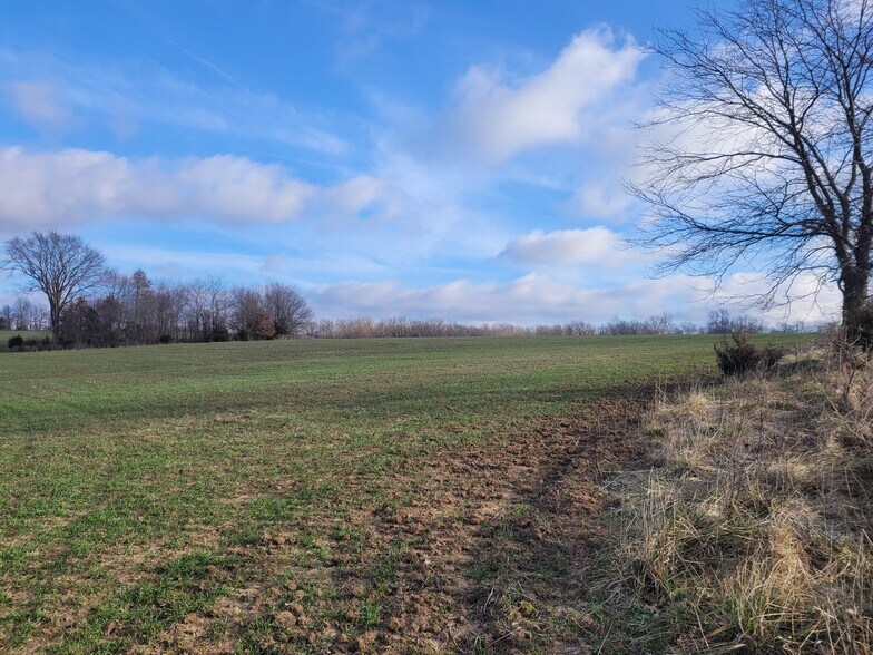 Bales Rd. (26.5+/- Acres), Middletown, MO à vendre - Autre - Image 1 de 20