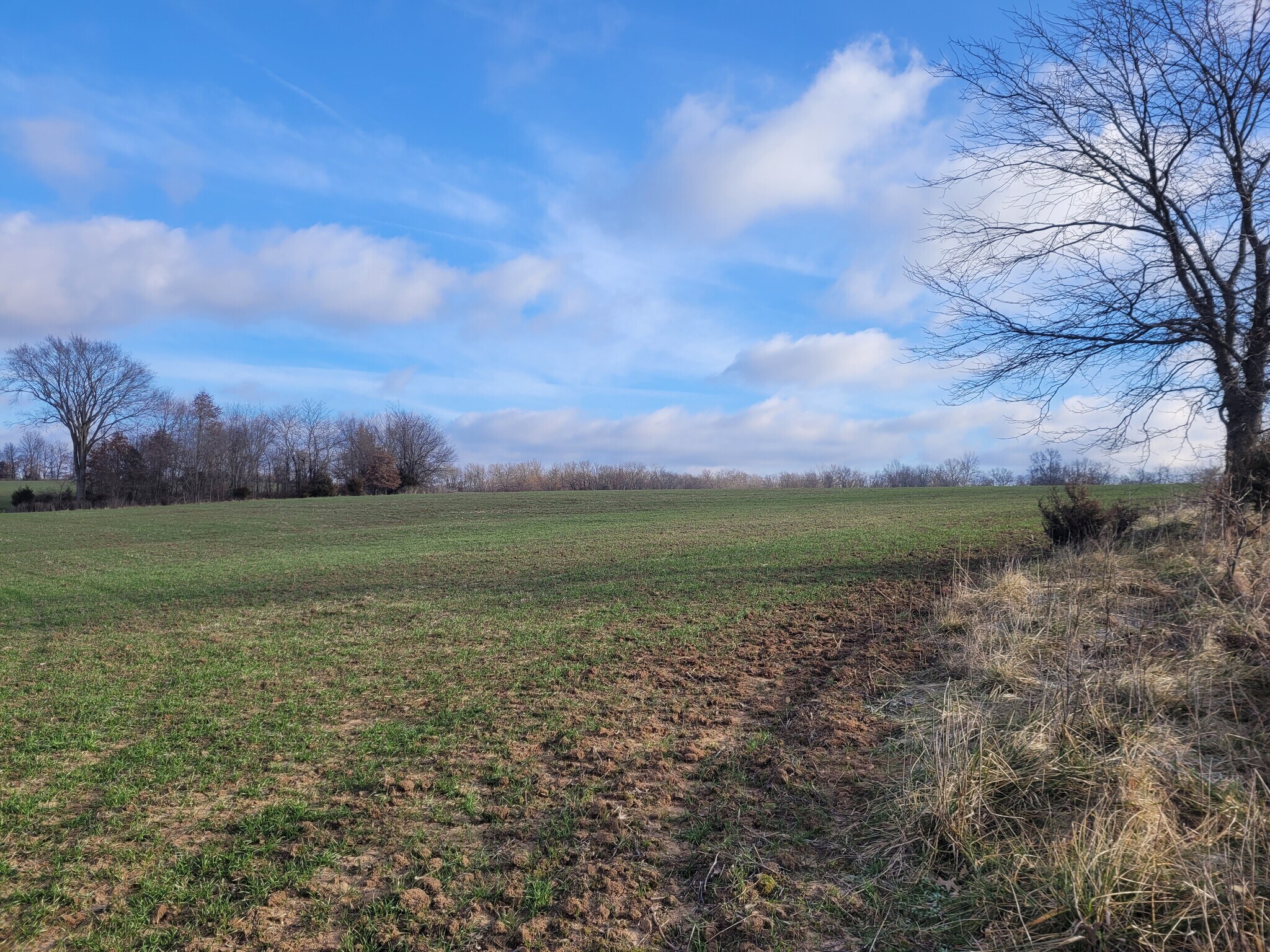 Bales Rd. (26.5+/- Acres), Middletown, MO à vendre Autre- Image 1 de 21