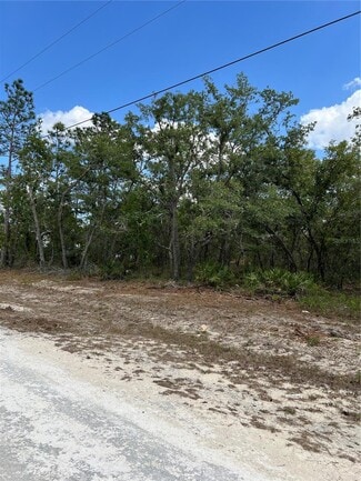 More details for Sage Thrasher Avenue, Weeki Wachee, FL - Land for Sale