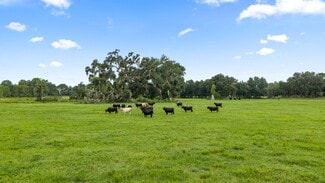 More details for CR 774, Webster, FL - Land for Sale