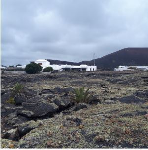 Plus de détails pour Poligono, 174, Tías - Terrain à vendre