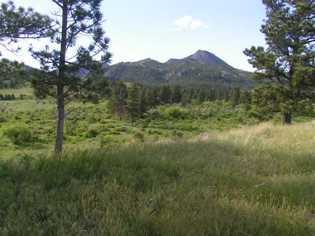 Gozlin, Zortman, MT à vendre - Photo du bâtiment - Image 2 de 2