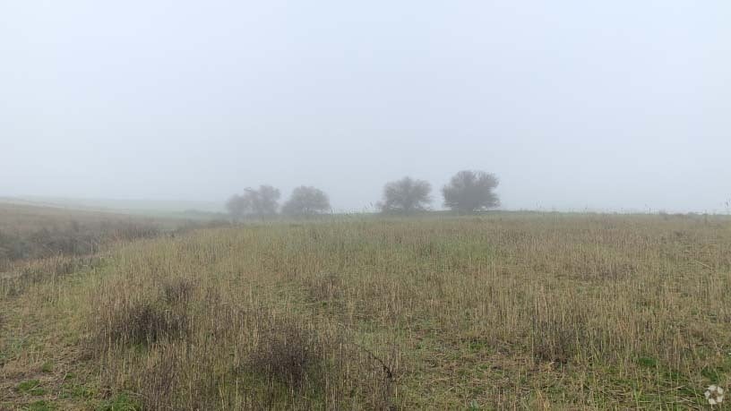 Polígono 12, Villaviciosa de Odón, Madrid à vendre Photo principale- Image 1 de 15