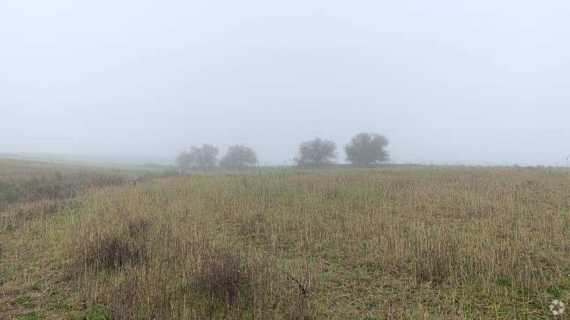 Polígono 12, Villaviciosa de Odón, Madrid for sale Primary Photo- Image 1 of 15