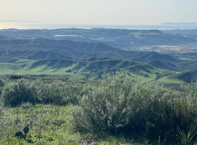 Boundry Rd, San Juan Capistrano, CA à vendre Photo principale- Image 1 de 33