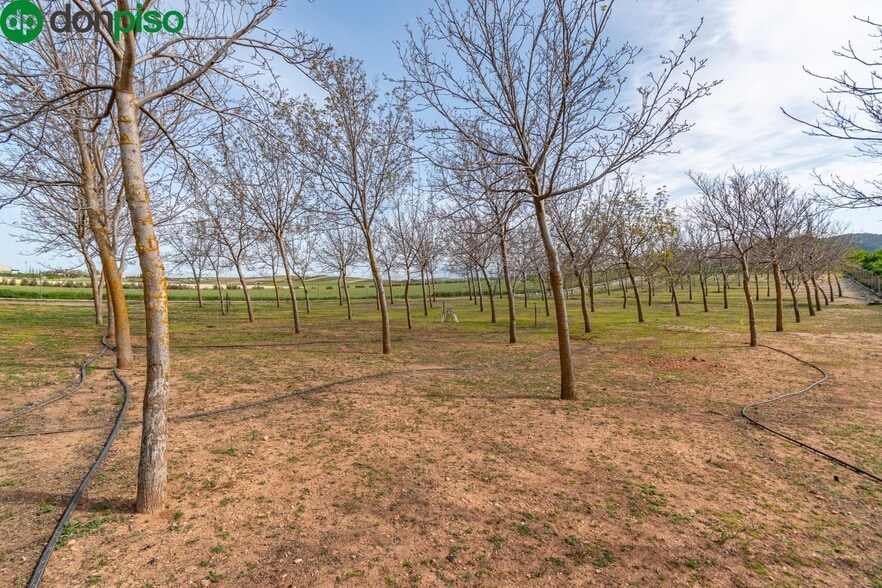 Pago de las Manguetas, 4, Padul, Granada for sale - Building Photo - Image 3 of 50